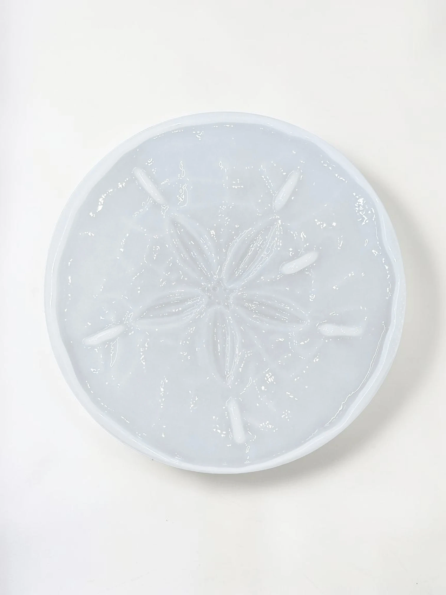 Royalchessset Sand Dollar Silicone Mold Platinum Cure Resin Casting Tray 10.5 Inch - Image 2
