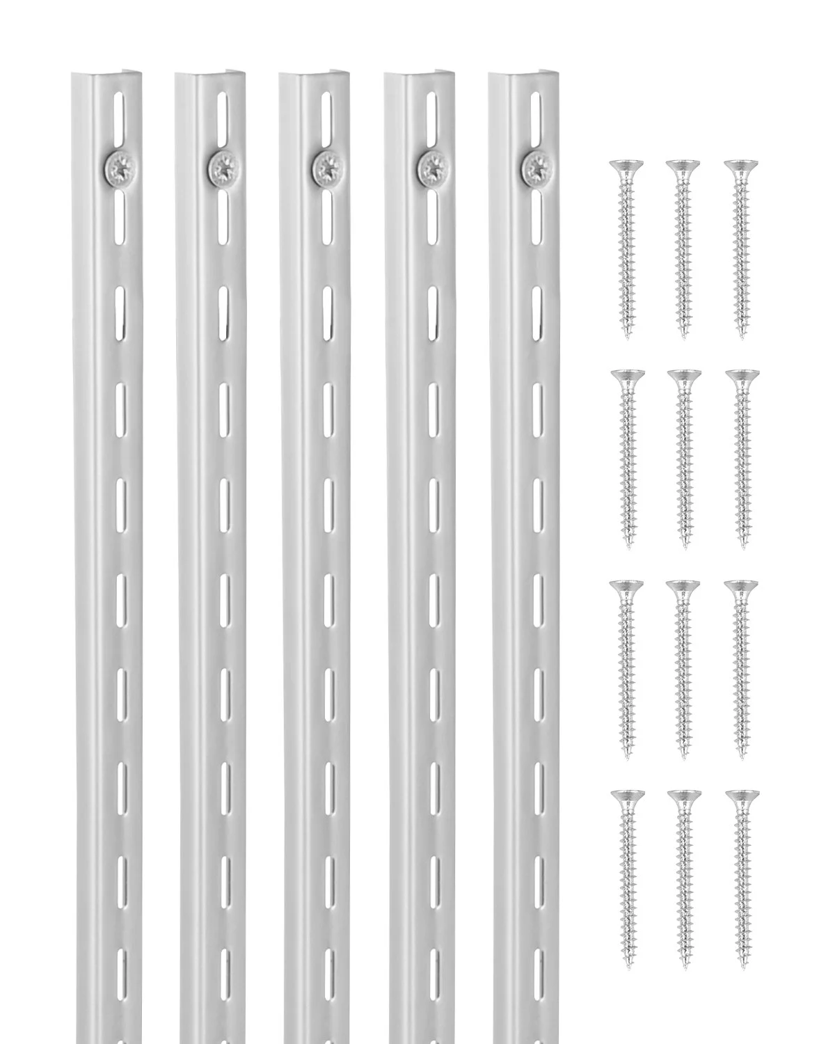 Shelf Pilaster, 39-inch 10 Pack, Upright Wall Shelving System, Heavy Duty Support System Single Slot Shelf Rails, 40 Screws Included, Suitable for Cabinet Closet Organization Storage, Silver