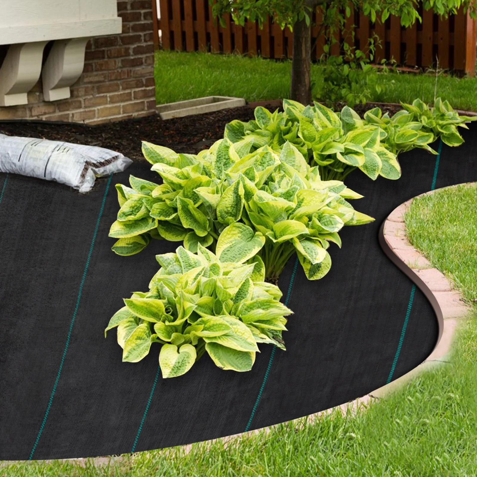 Weed Barrier Landscape Fabric, 5 x 250 ft, 5 Oz Premium Woven Ground Cover Heavy Duty PP Material & Easy Setup, Single-Layer for Outdoor Garden, Lawn, Driveway, Black - Image 4